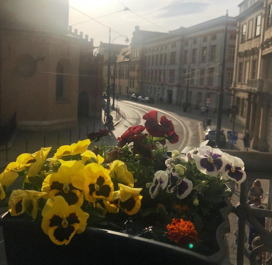 Hotel apartamentowy Amber Guest 2*